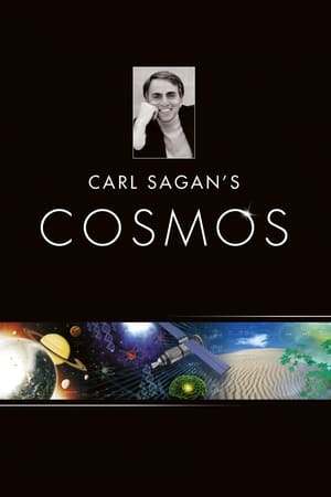 Cosmos: Un viaje personal Online