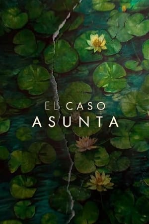 El caso Asunta temporada  1 online