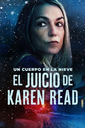 El Juicio de Karen Read temporada  1 online