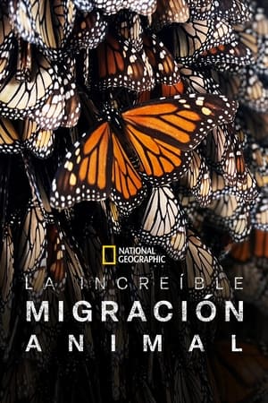 Viajes increíbles de animales Online