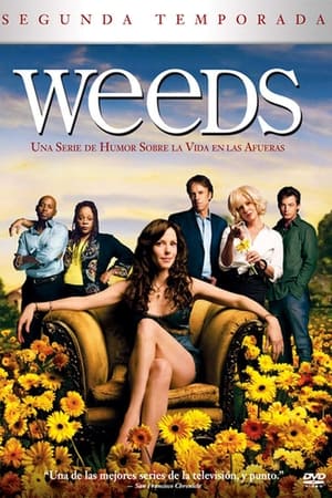 Weeds temporada  2 online